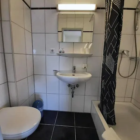 Traube Oeffingen 3* Fellbach