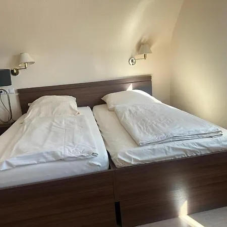 Hotel Traube Oeffingen 3*