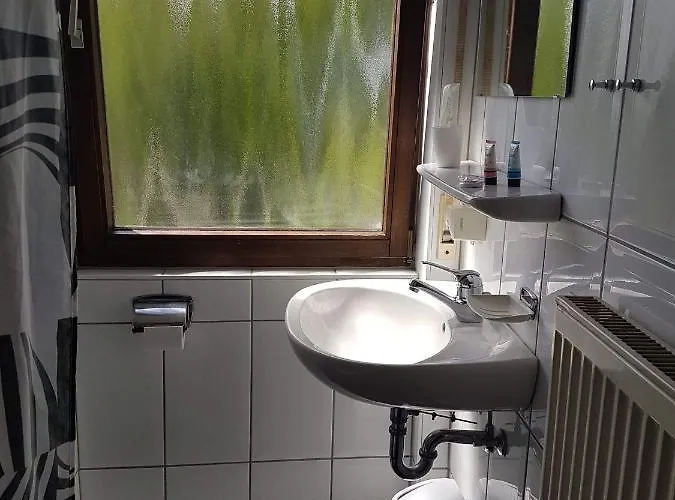 Hotel Traube Oeffingen