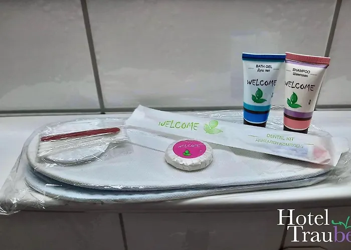 Hotel Traube Oeffingen Fellbach